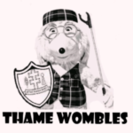 Thame Wombles clean up our act