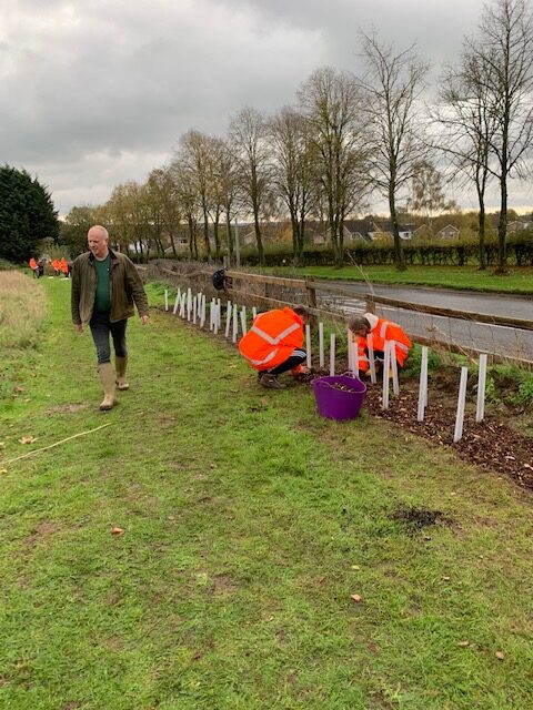 The Triangle Planting Project